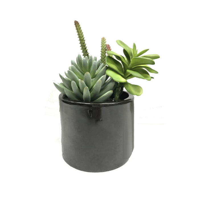 Primrue 8'' Faux Succulent Plant in Cement Pot Wayfair
